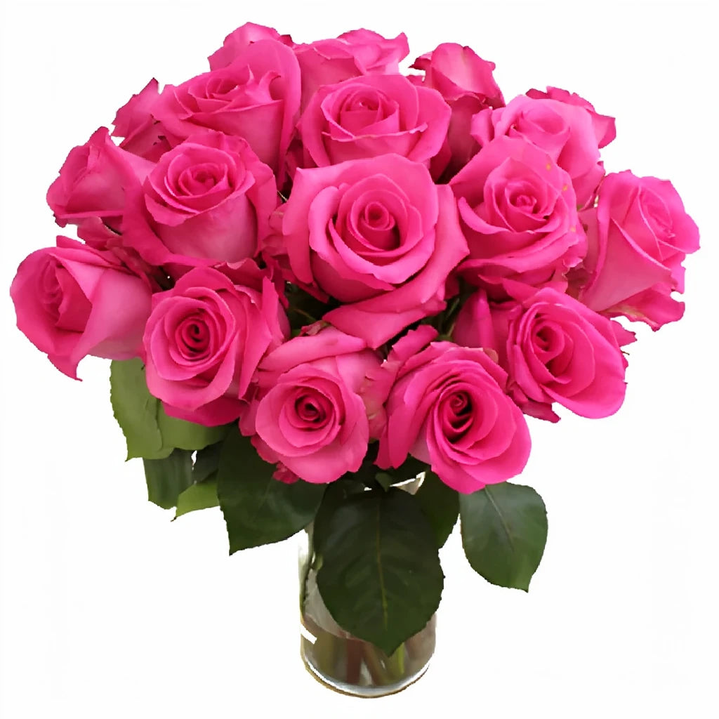 Cotton Candy Roses Standard - main