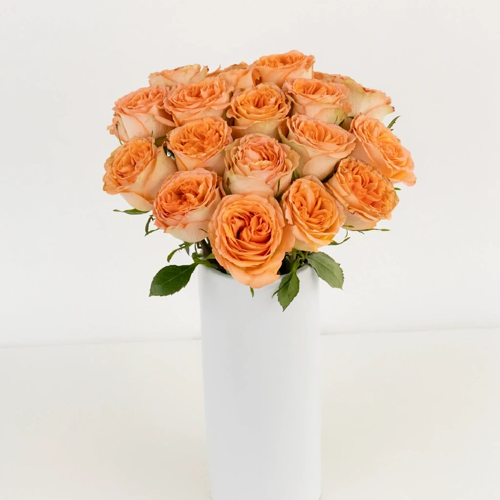 Country Home Roses Garden - main