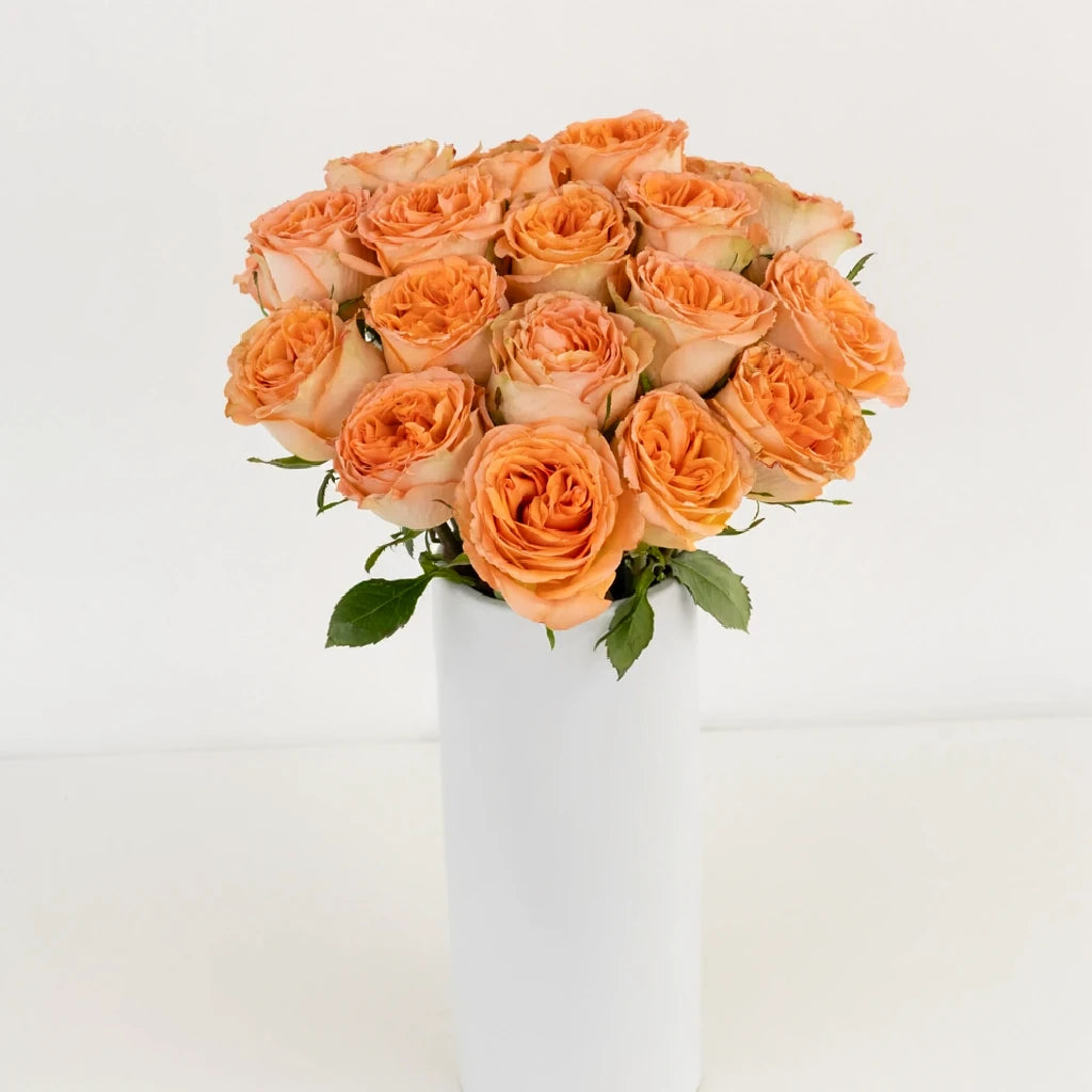 Country Louis Roses Garden - main