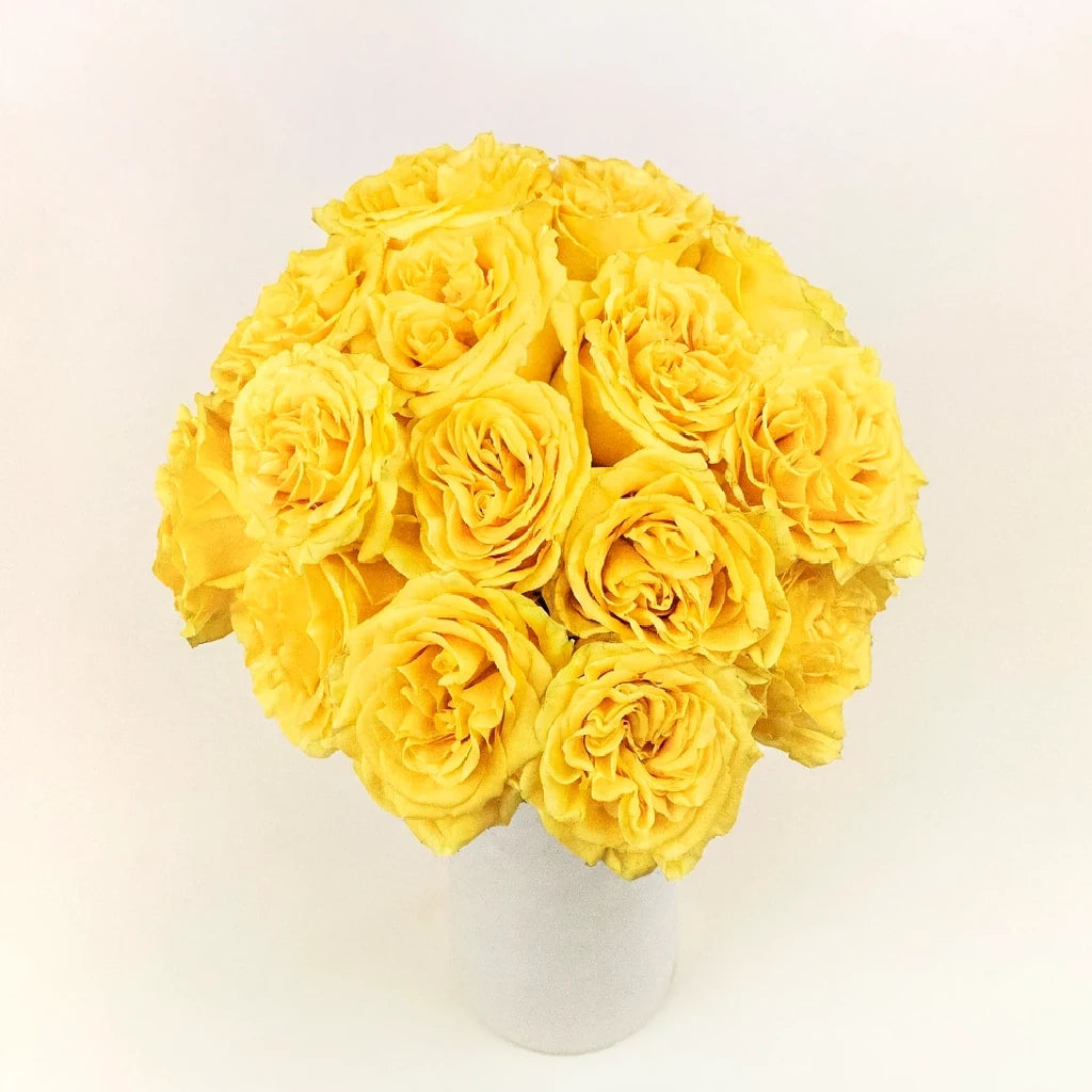 Country Sun Roses Standard - alternative 3