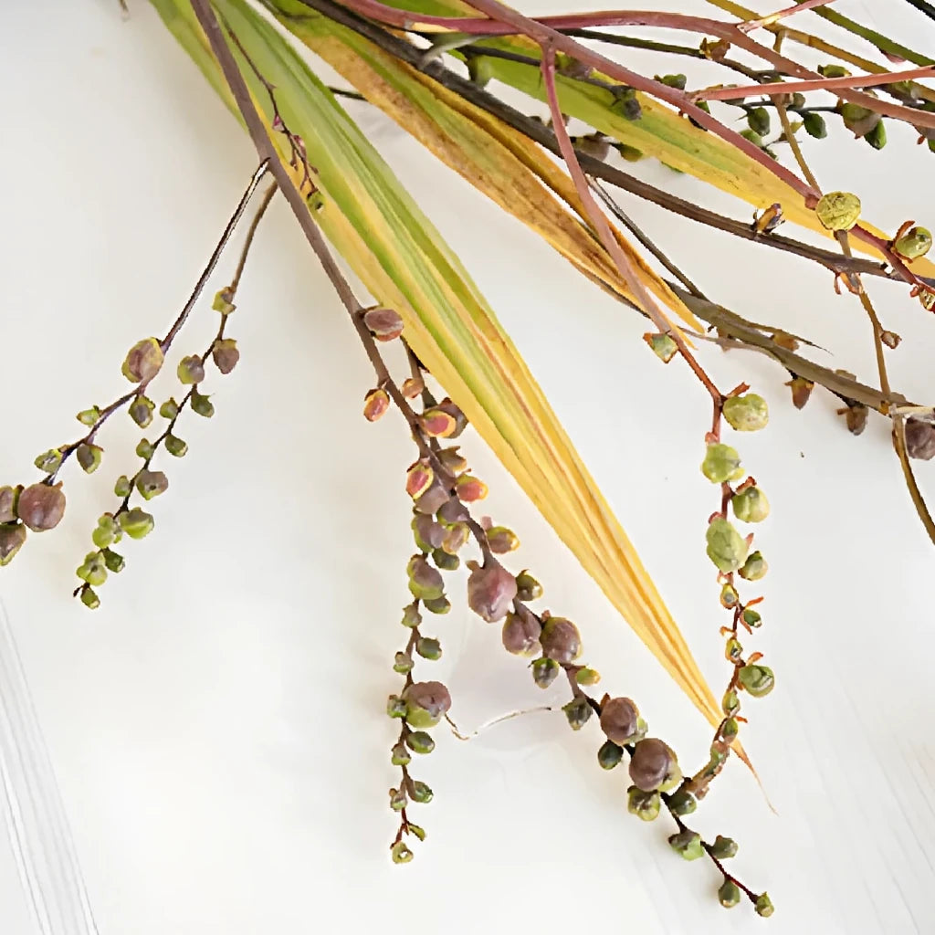 Crocosmia Pods Pods - alternative 4