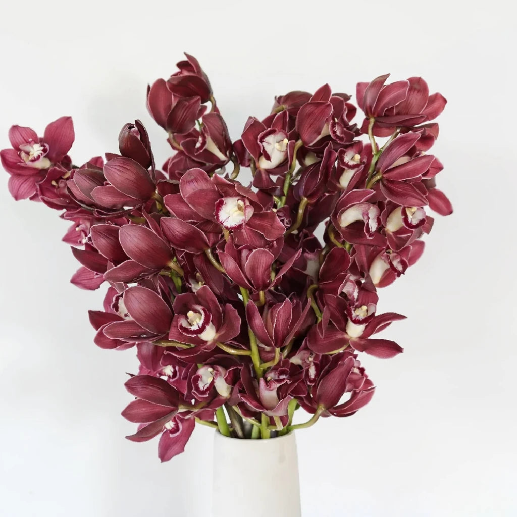 Burgundy Orchids Leis - main