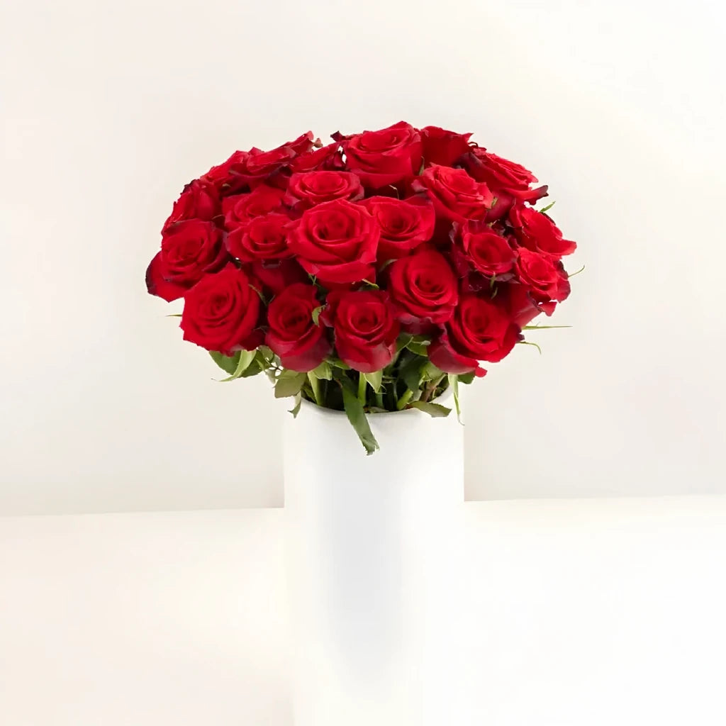 Red Paris Roses Standard - alternative 2