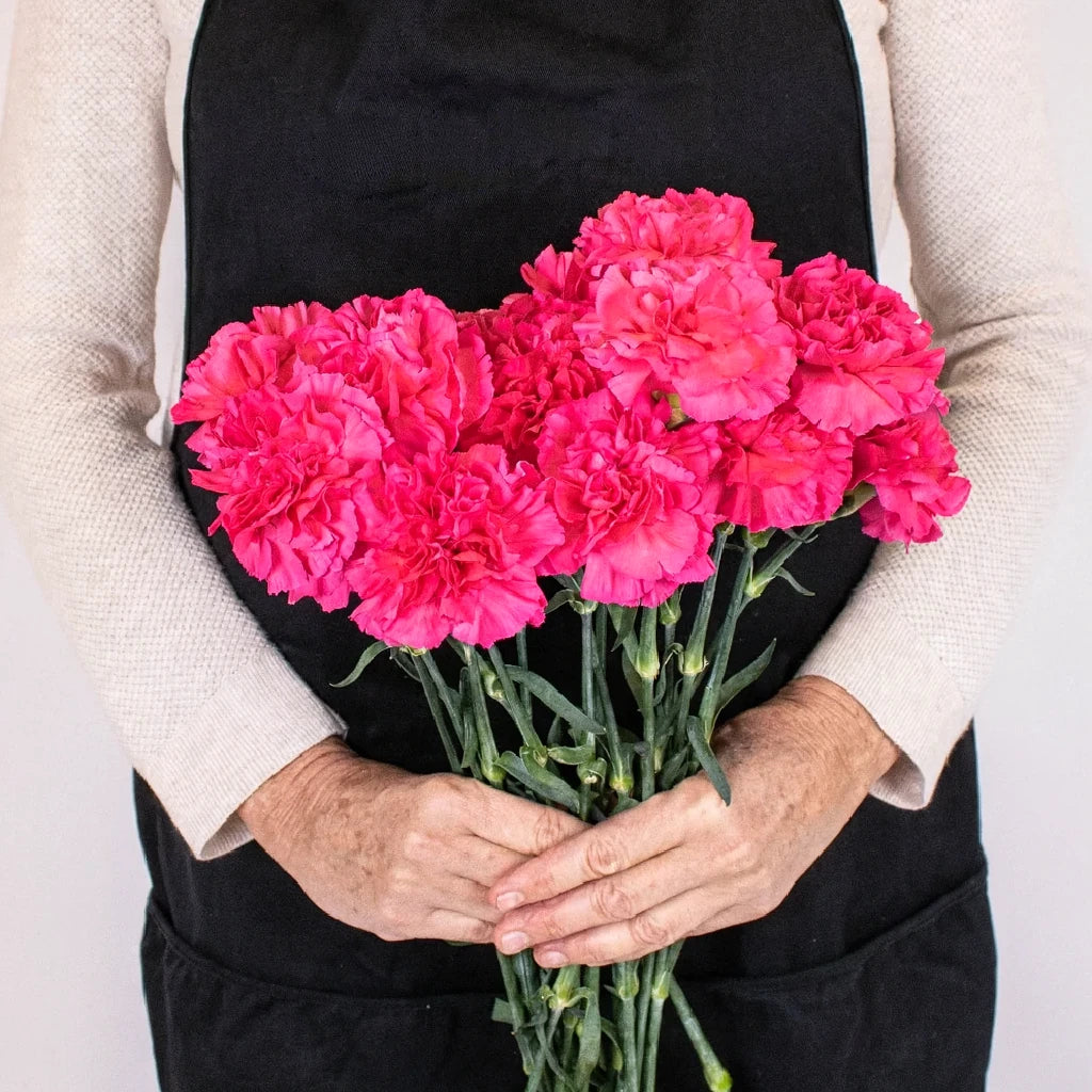 Mandalay Carnations - alternative 1
