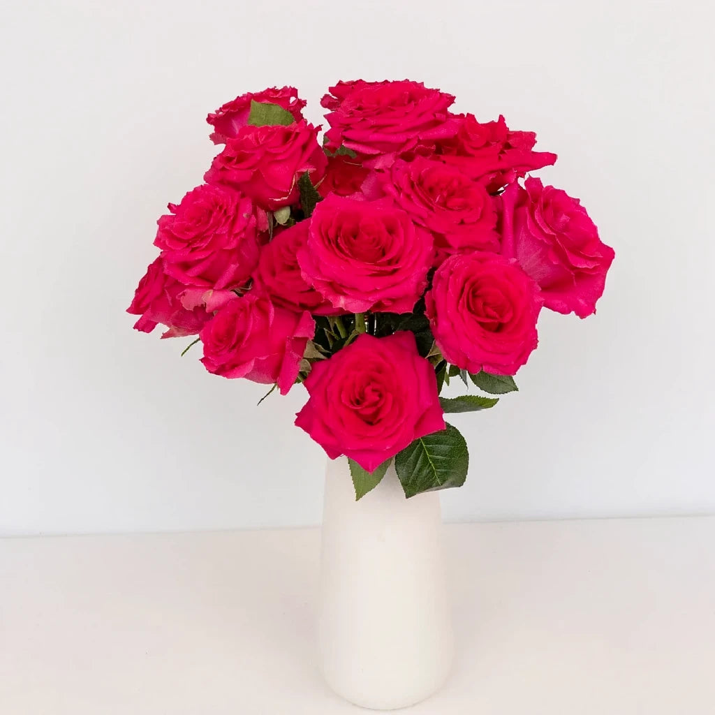 Hot Shot Roses Standard - main