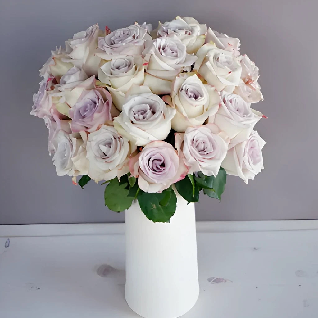 Deep Silver Roses Standard - alternative 1