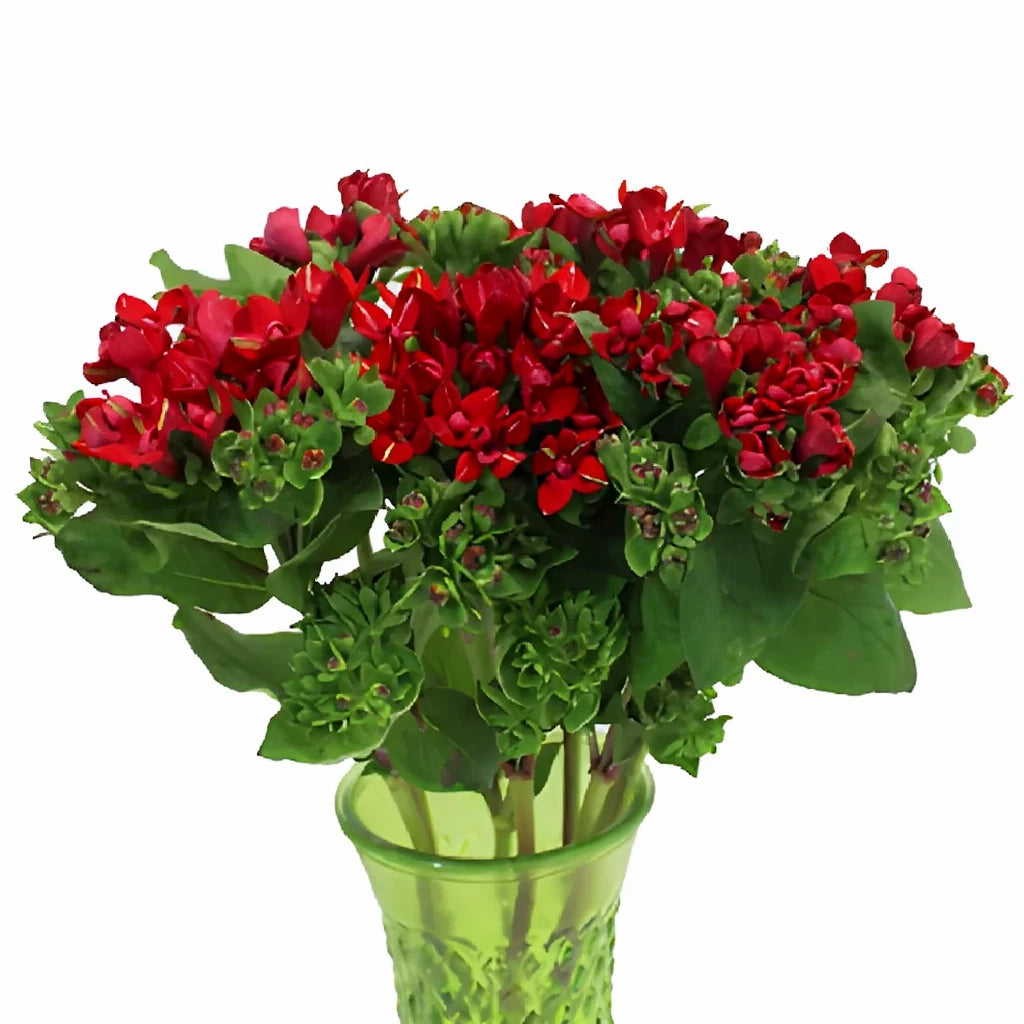 Red Bouvardia - alternative 1