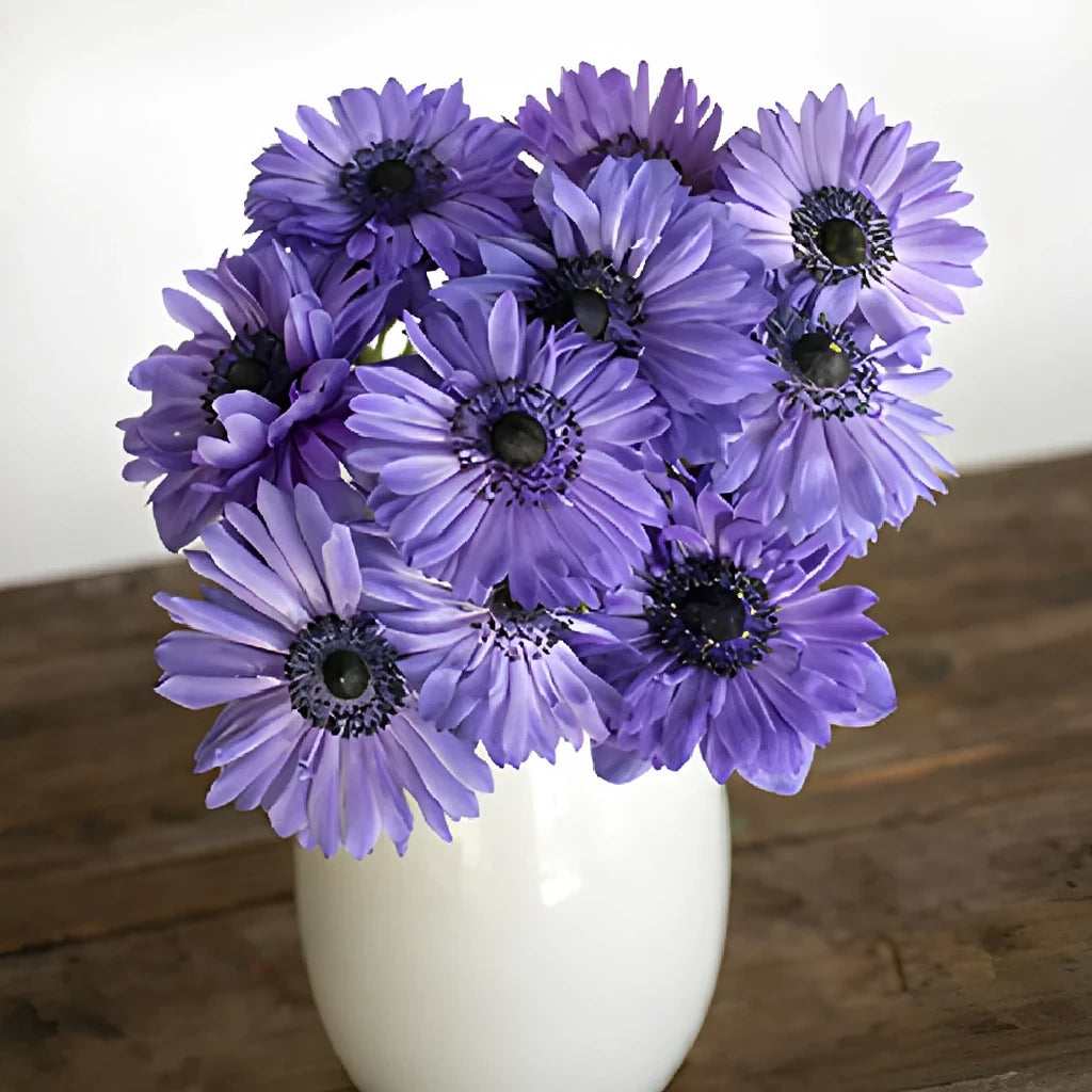 Blue Fullstar Anemones - Blue - main