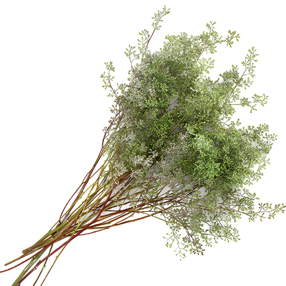 Naked Seeded Eucalyptus Greenery - alternative 3