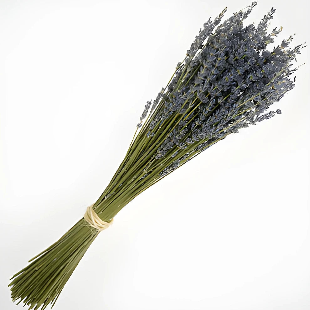 Lavender Dried - alternative 2