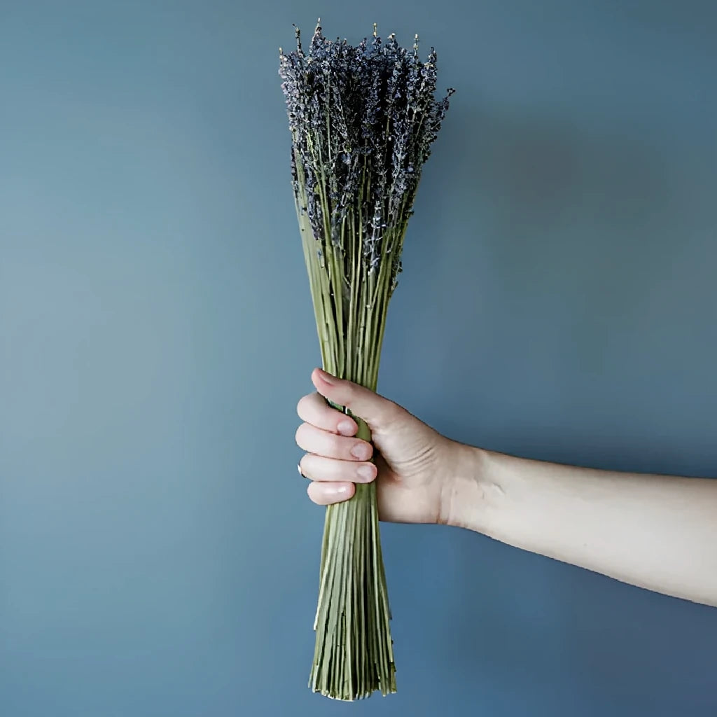 Preserved Lavender Dried - main