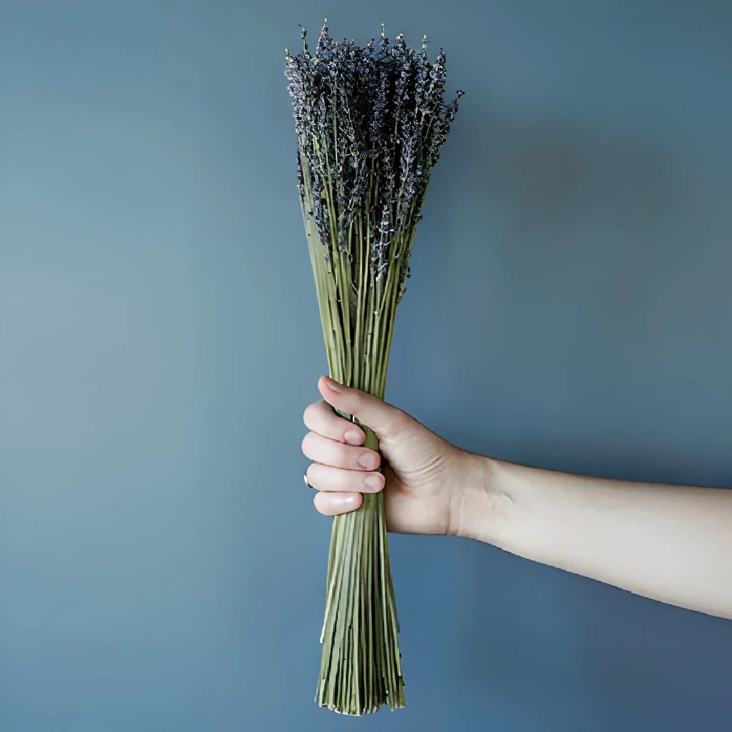 Lavender Dried - alternative 1