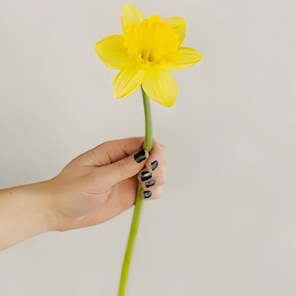 Yellow Daffodils - alternative 1