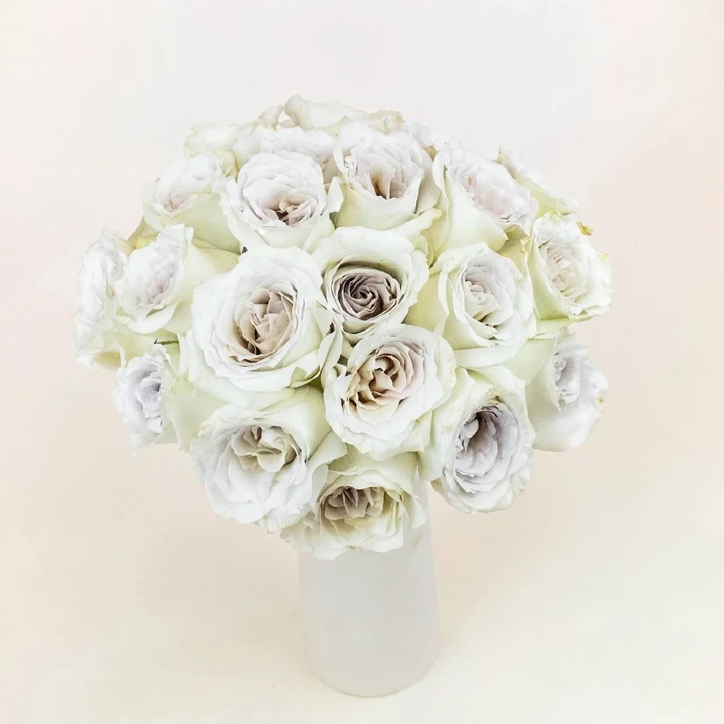 Early Grey Roses Standard - alternative 3