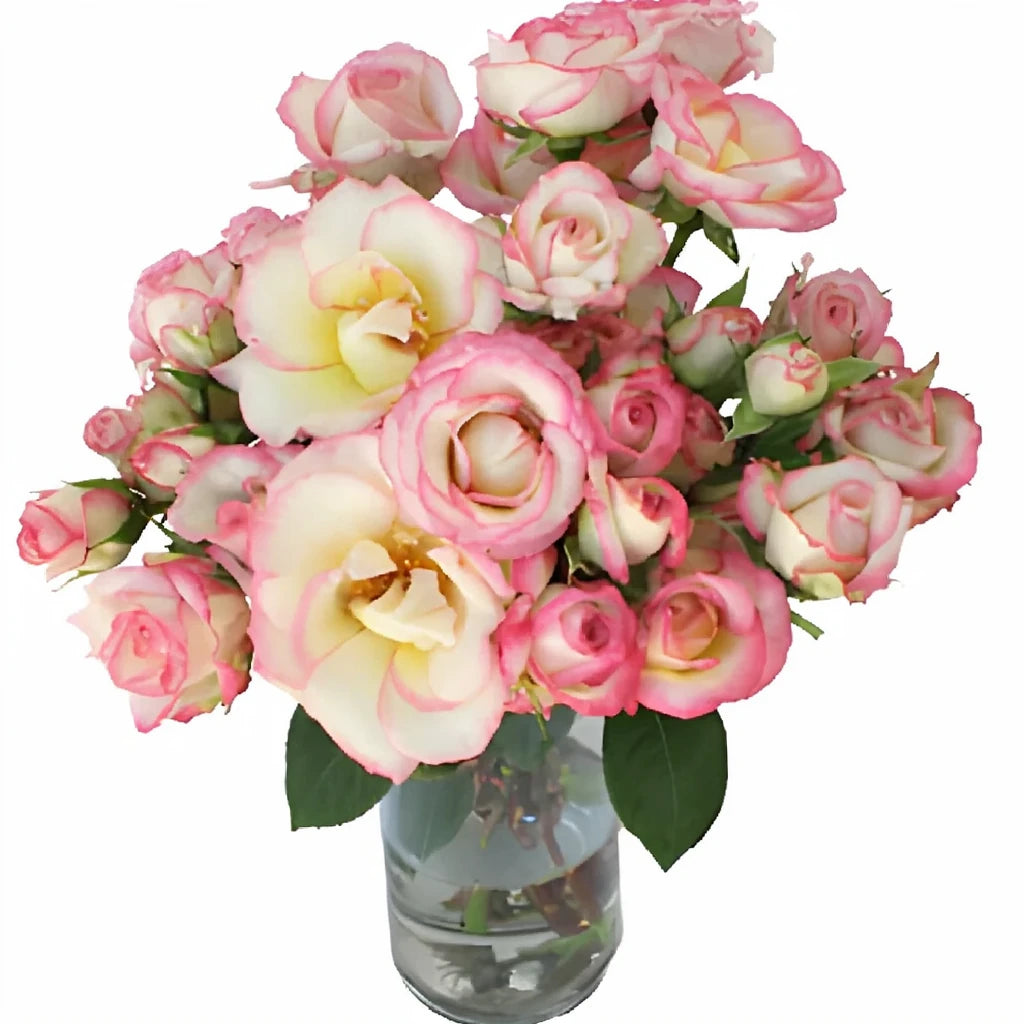 Electra Roses Spray - main