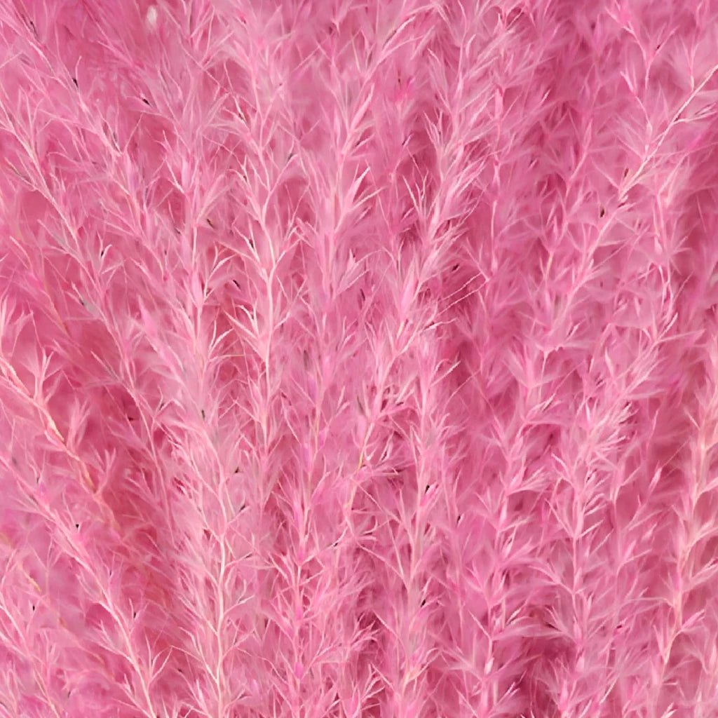 Eulalia Dried - Pink - alternative 1