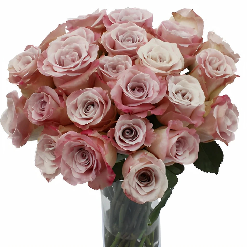 Faith Roses Standard - alternative 5