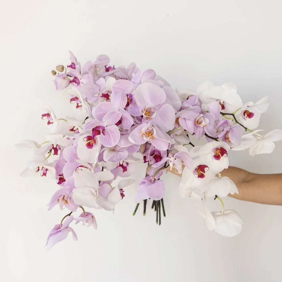 Purple Orchids Phalaenopsis - alternative 2