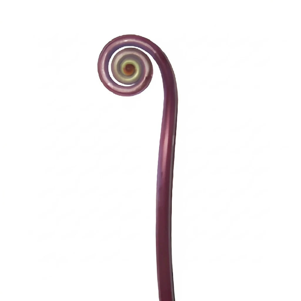 Fiddlehead Fern Greenery - alternative 1