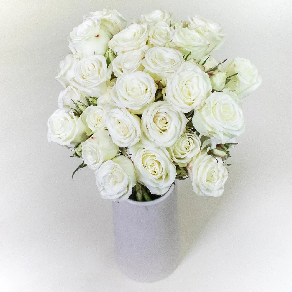 White Snowflake Roses Spray - main