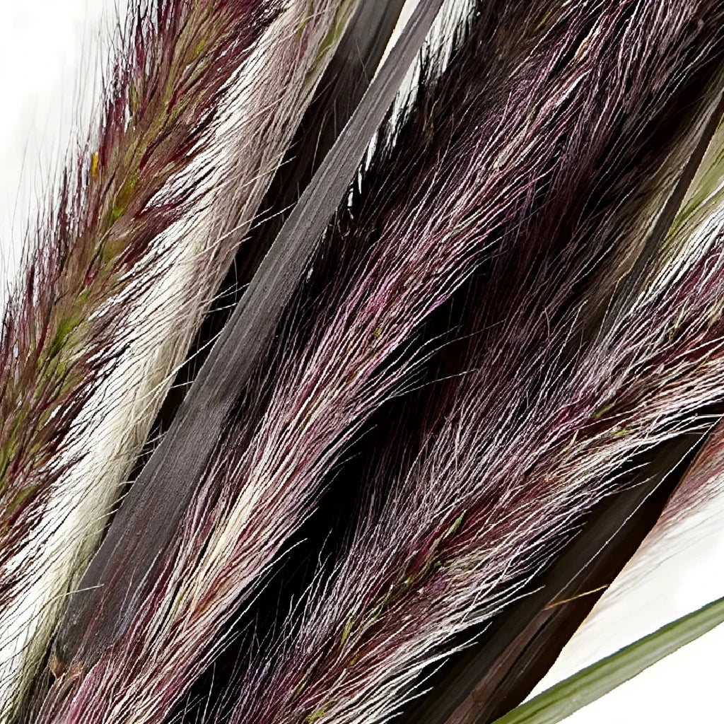 Fountain Grass Greenery - main