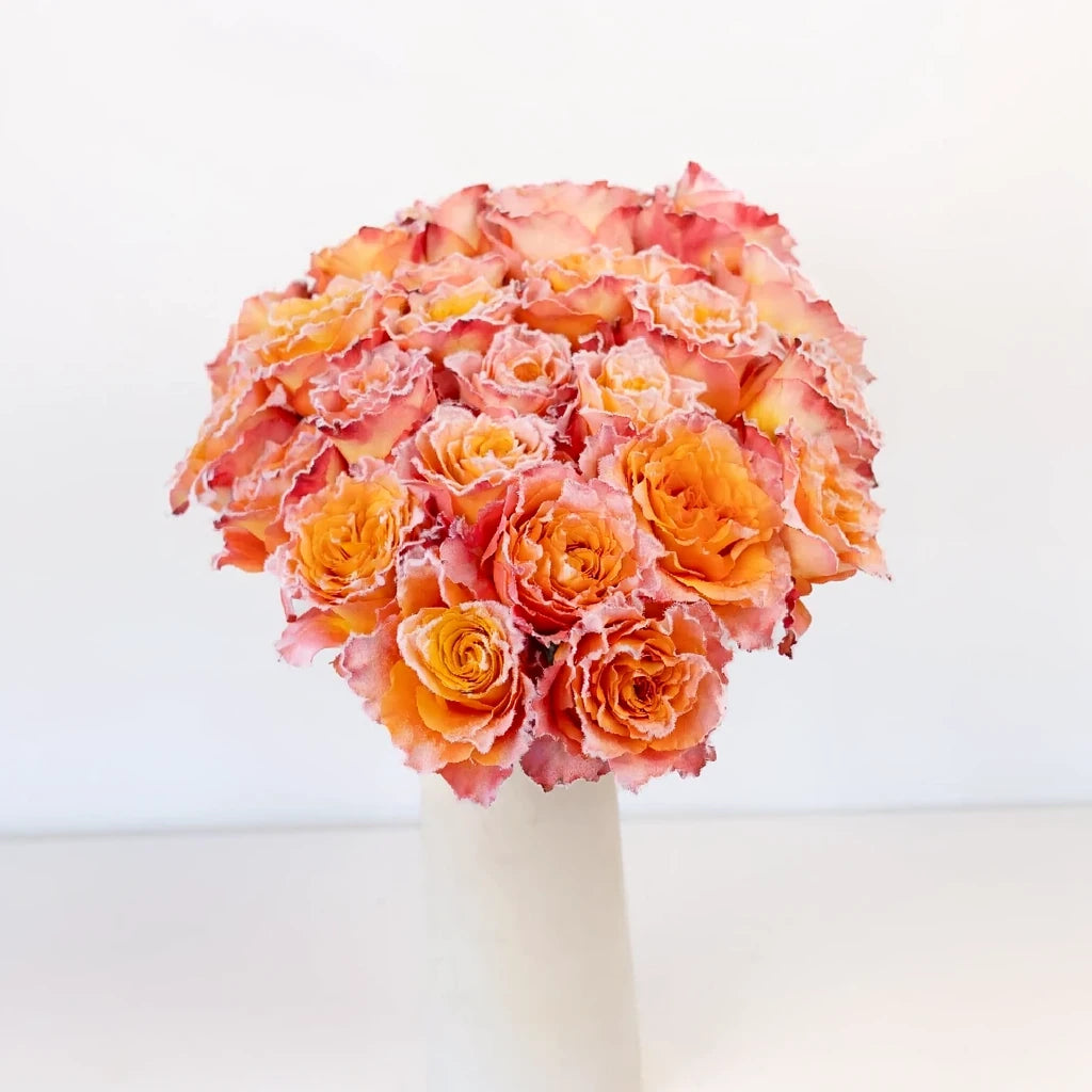 Bicolor Yellow & Orange Free Spirit Roses Standard - alternative 5