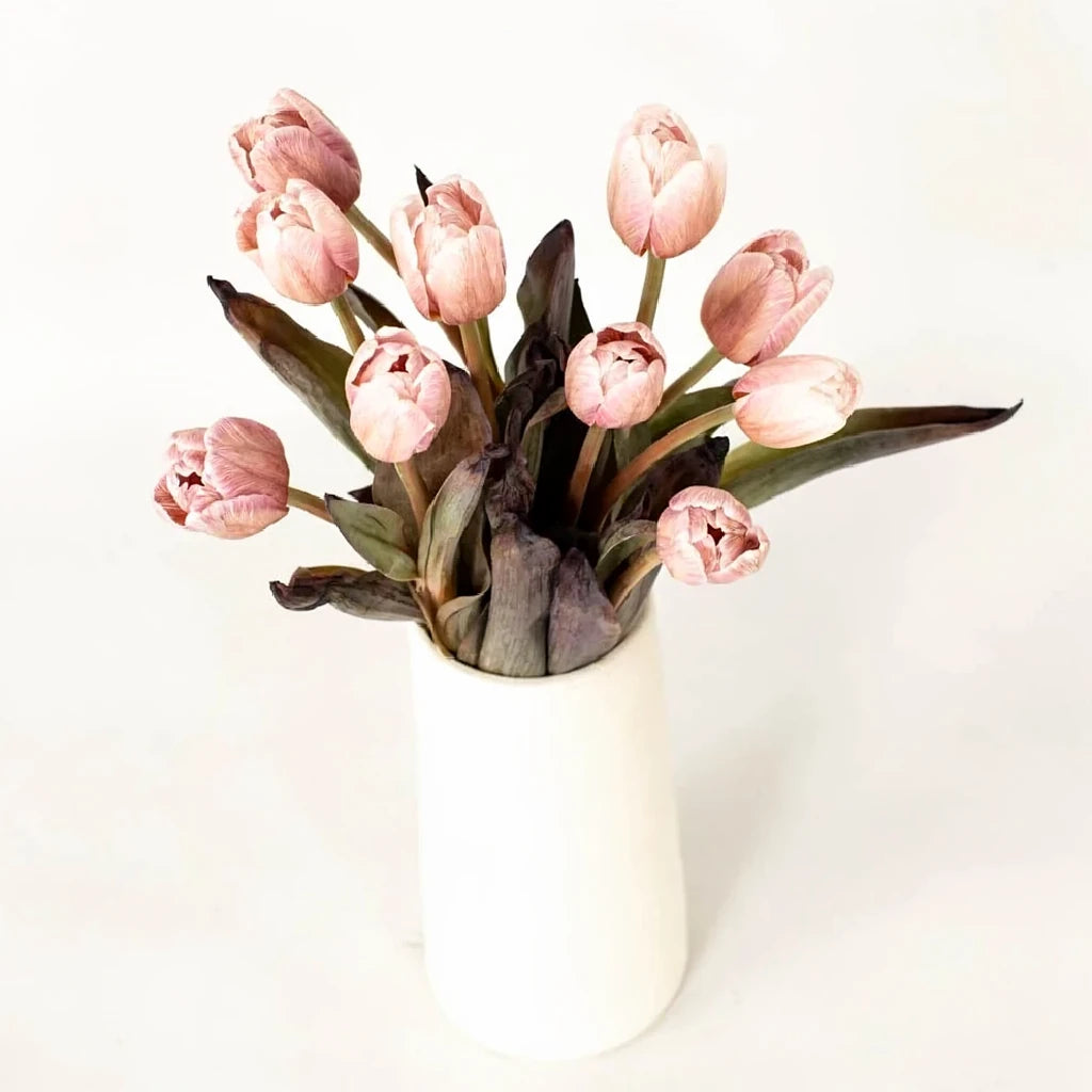 Tinted Brownie Tulips Standard - main