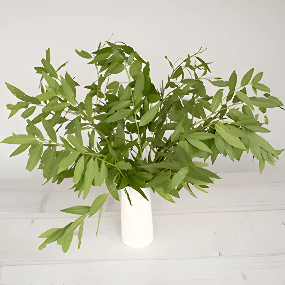Bayleaf Greenery - alternative 2