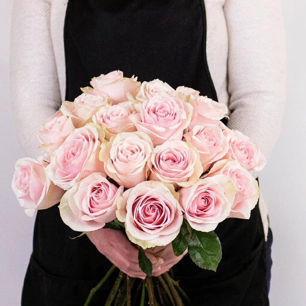 Frutteto Roses Standard - main