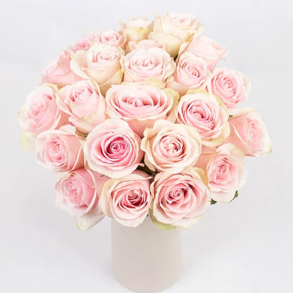 Frutteto Roses Standard - alternative 3