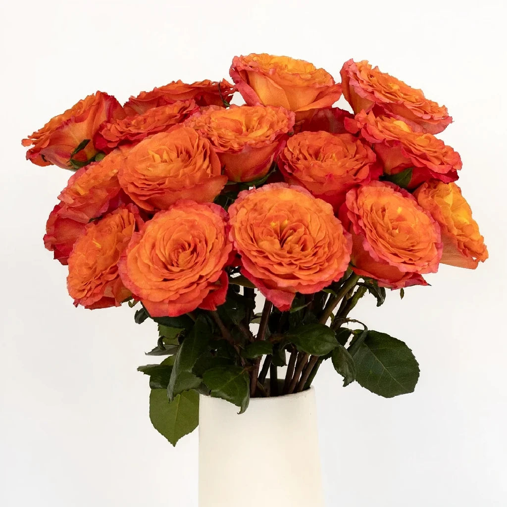 Sunset Parasol Roses Garden Spray - alternative 2