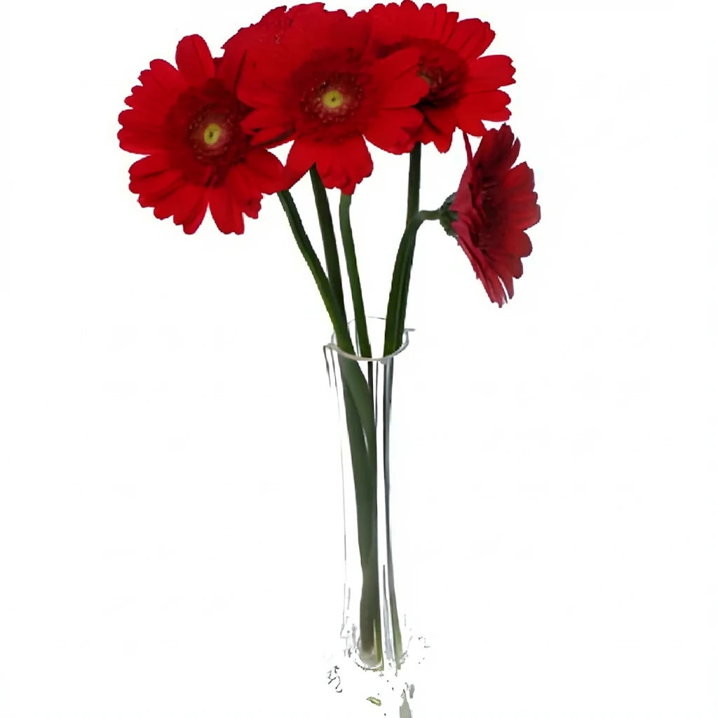 Red Gerberas Mini - main