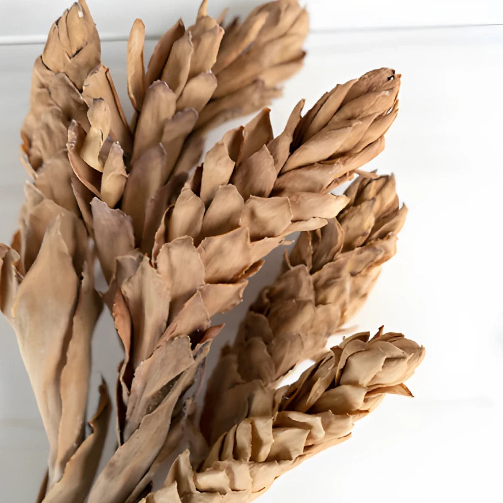 Ginger Dried - alternative 2