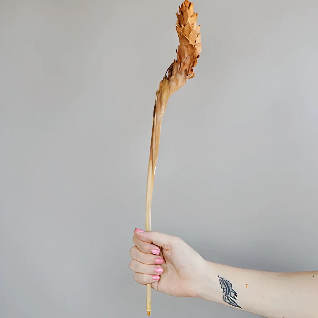 Ginger Dried - main