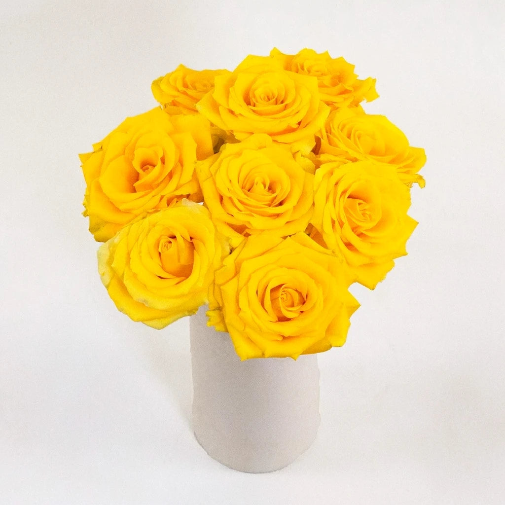 Gold Strike Roses Standard - alternative 1