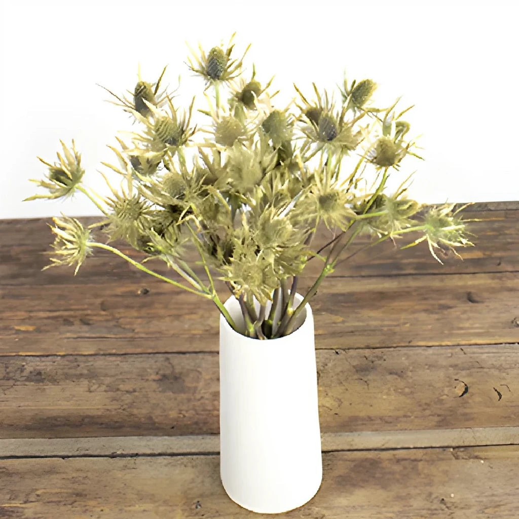 Tinted Gold Thistle - alternative 1