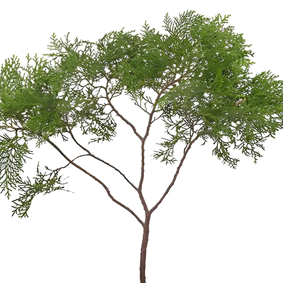 Arbor Vitae Greenery - alternative 2
