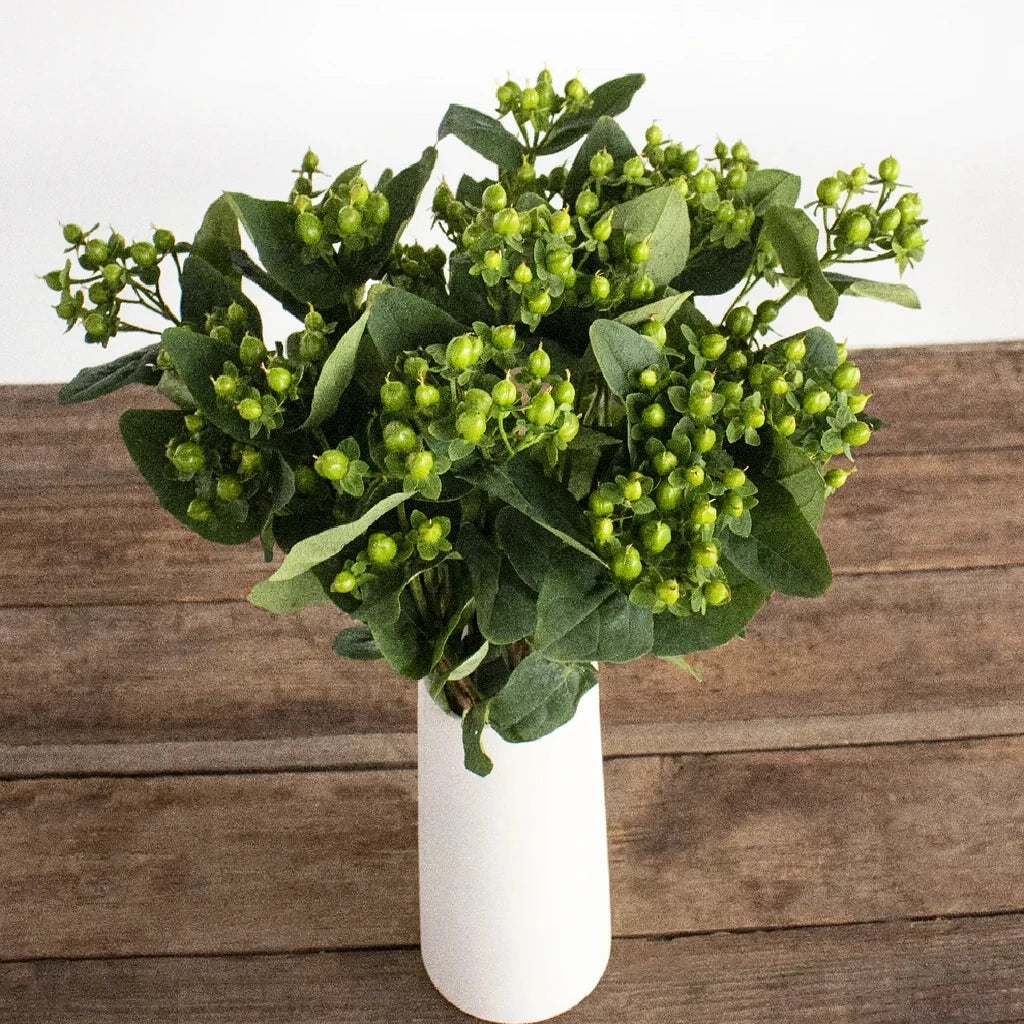 Hypericum Green Berries - alternative 3