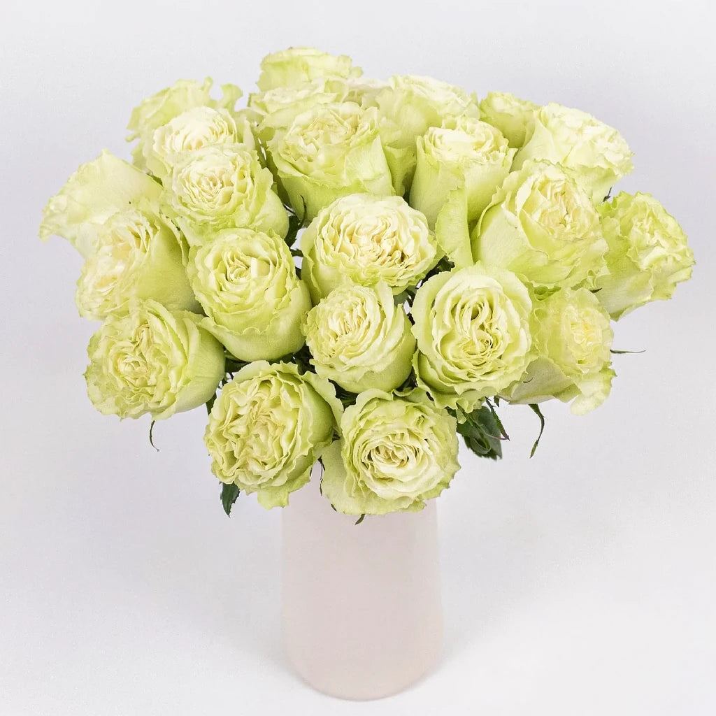 Lemonade Roses Standard - alternative 2