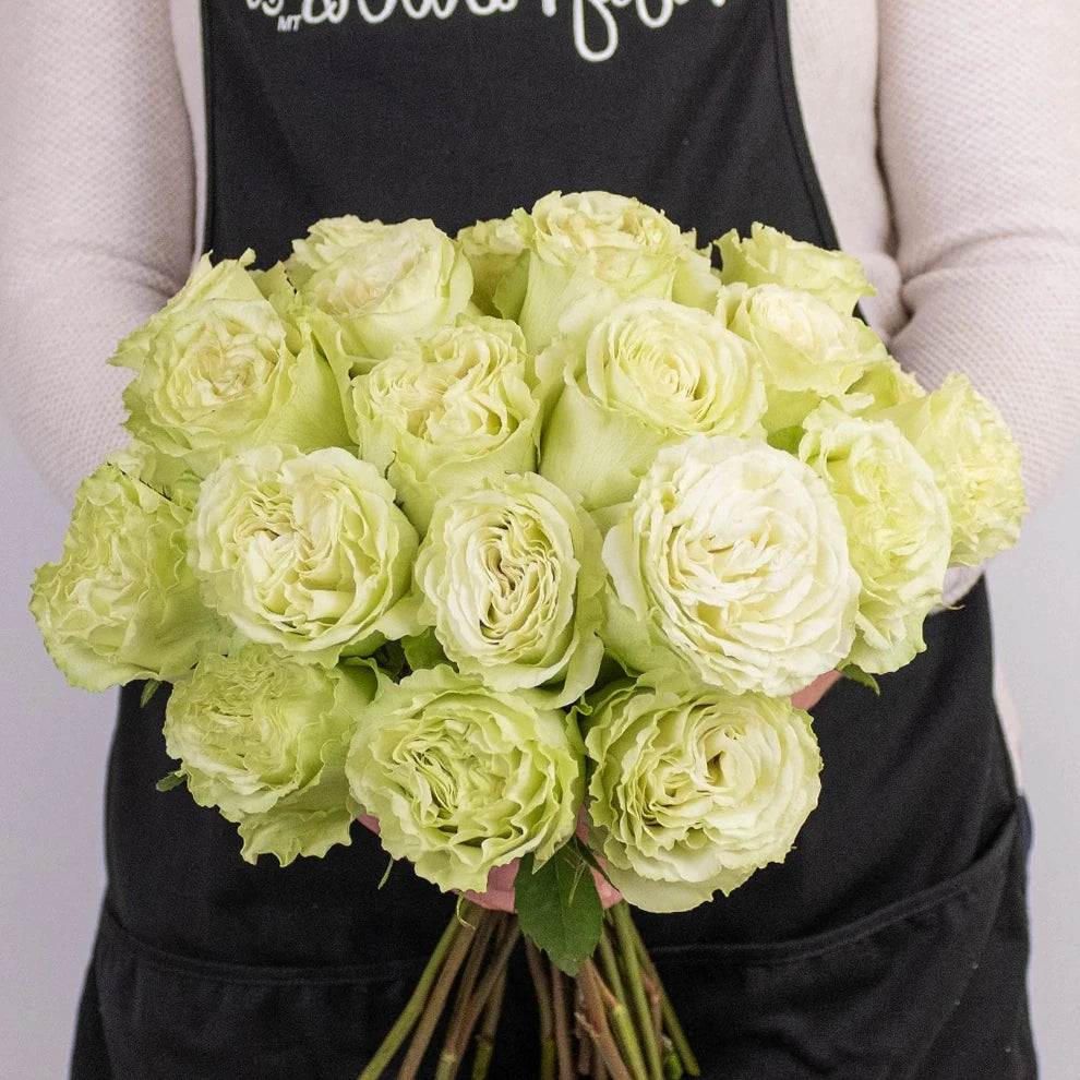 Light Green Standard Lemonade Roses - main