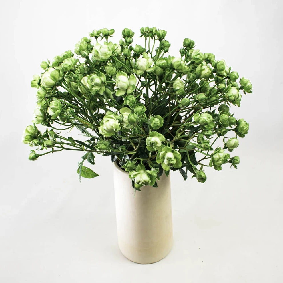 Wild Eclair Roses Spray - alternative 2