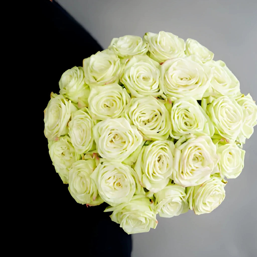 Green Tea Roses Standard - main