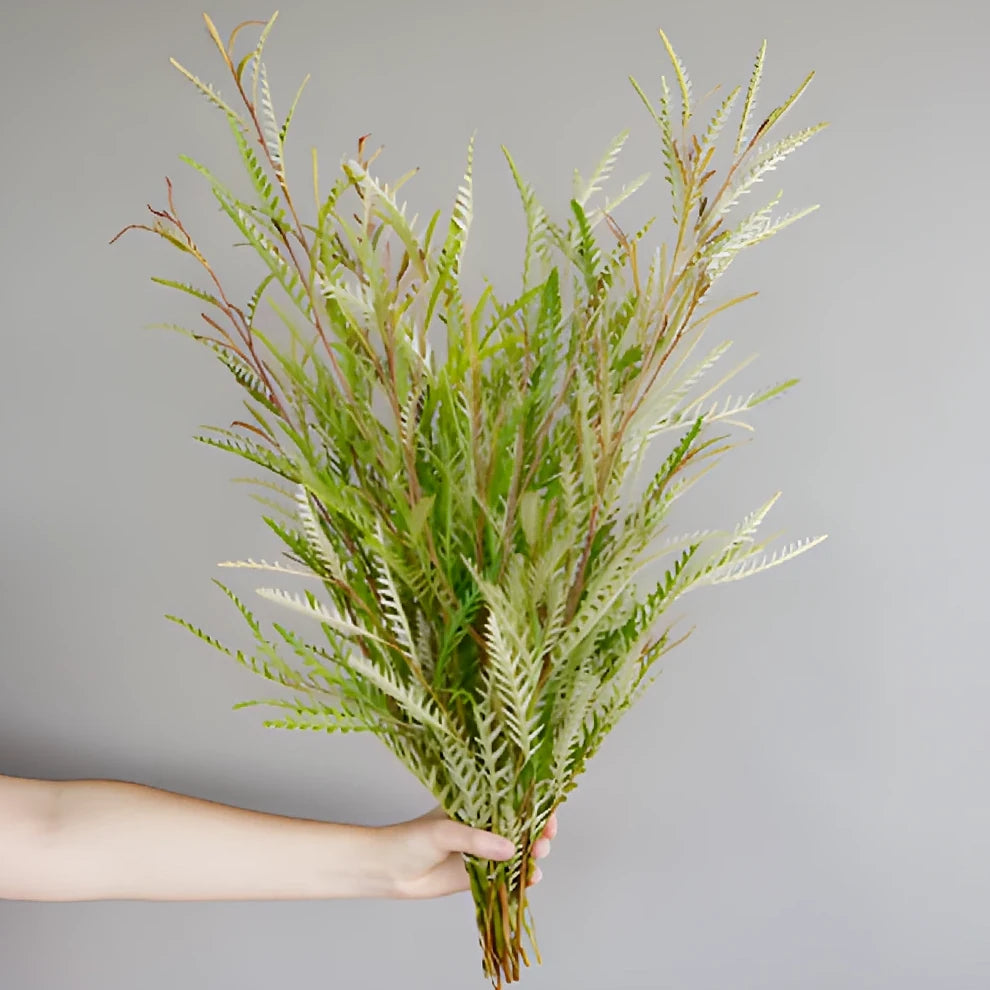 Grevillia Greenery - alternative 1