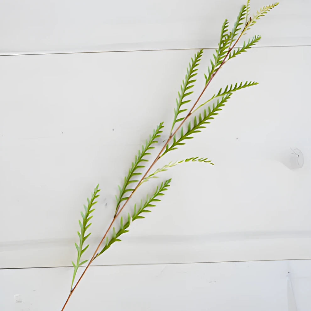 Grevillia Greenery - main