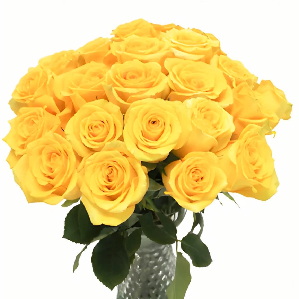 High & Exotic Roses Standard - main