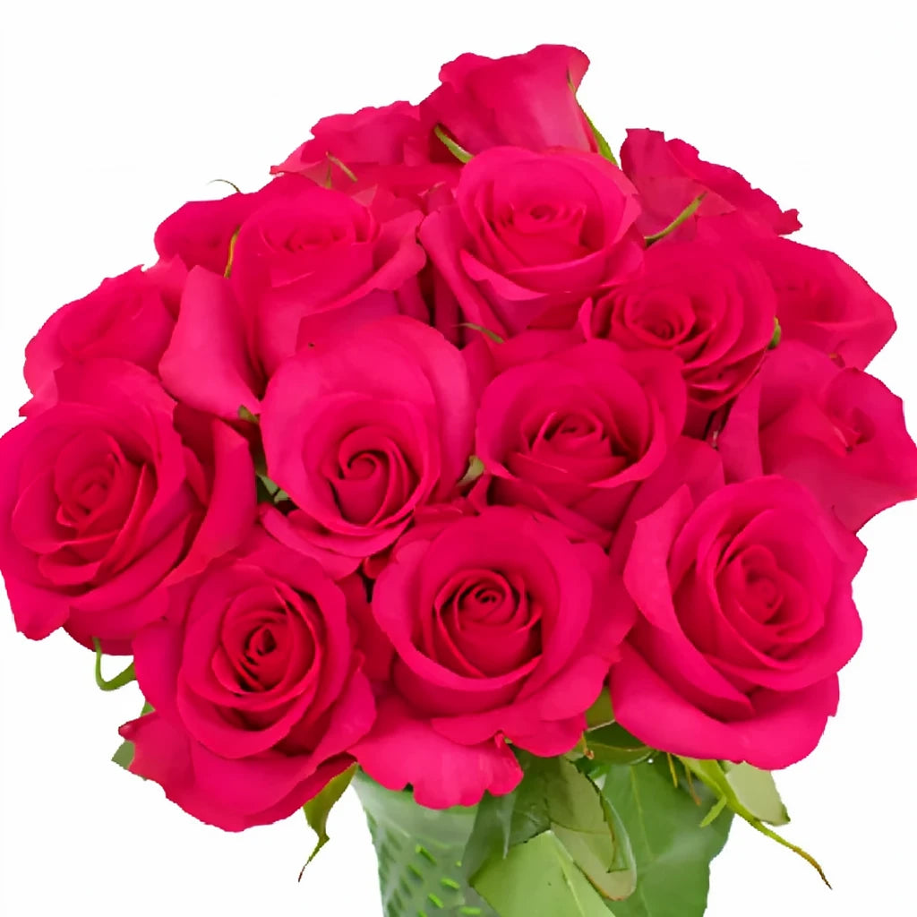 Hot Spot Roses Standard - alternative 3