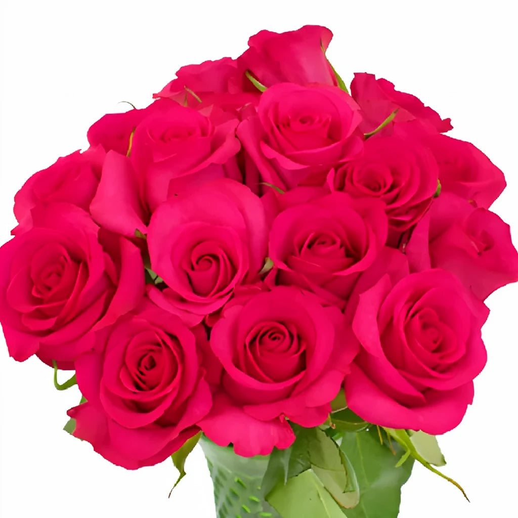 Hot Paris Roses Standard - alternative 2
