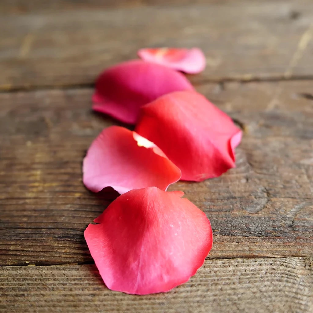 Pink Hot Rose Petals - alternative 3