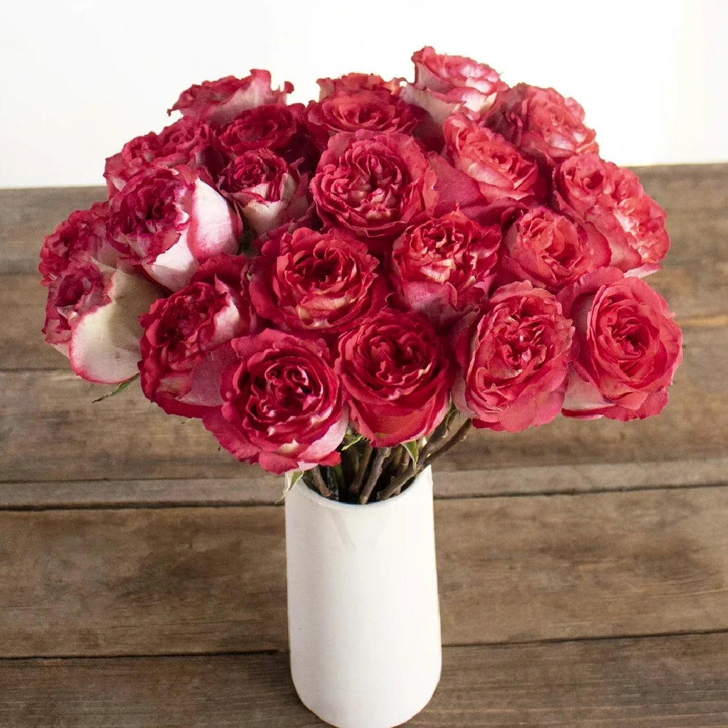 Iguazu Roses Standard - main