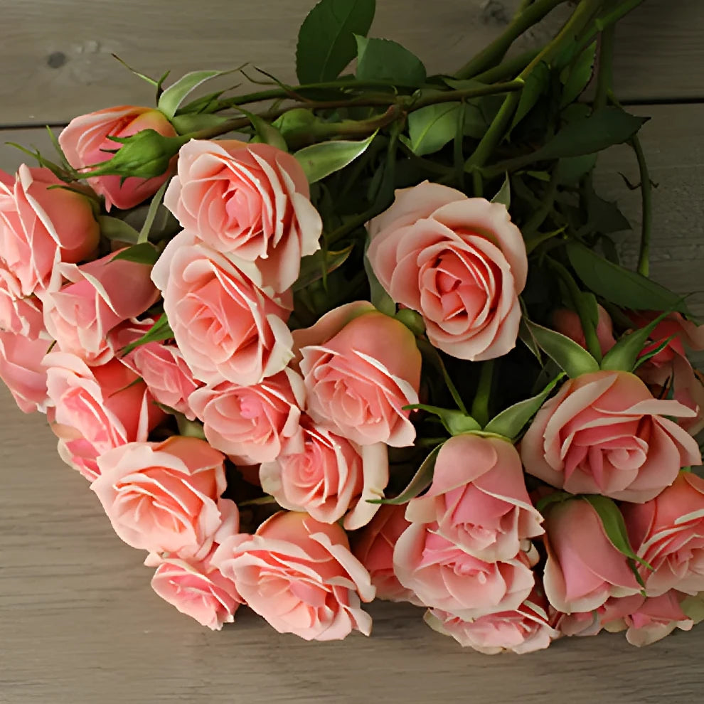 Peach Ilse Roses Spray - alternative 2